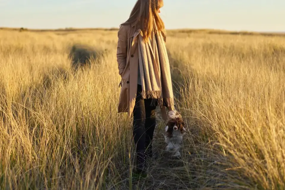A Cavalier King Charles Spaniel walking calmly on leash beside its owner