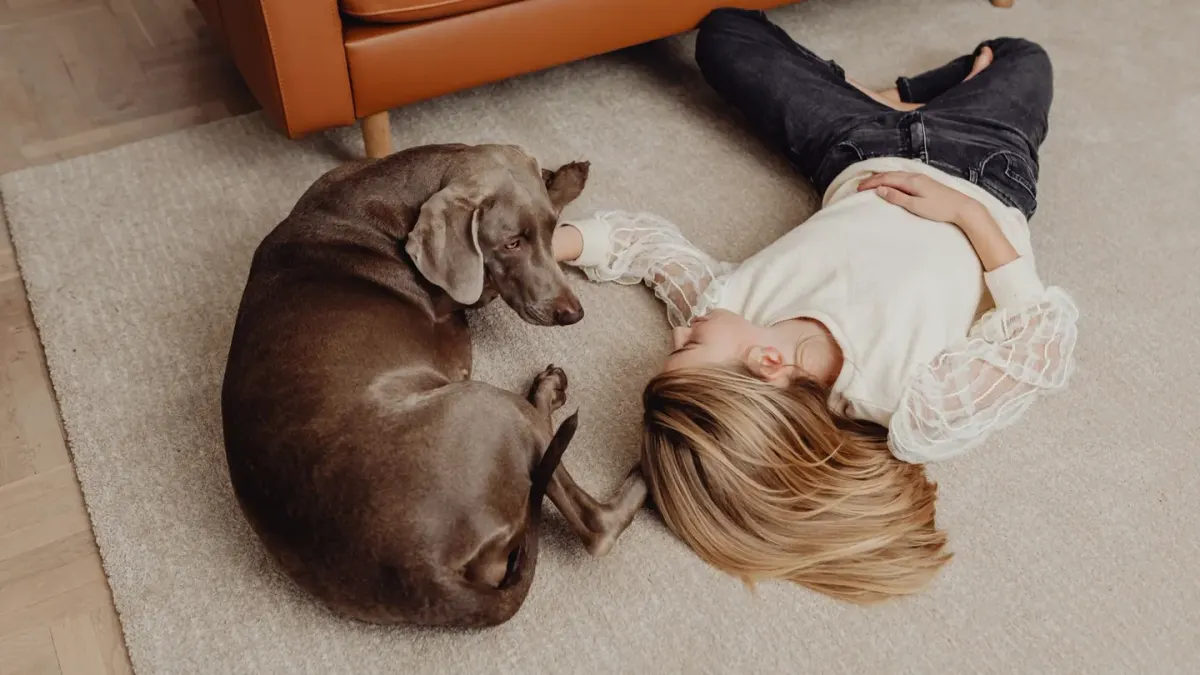 A dog lying low on a living room floor near its owner's feet, looking unsettled