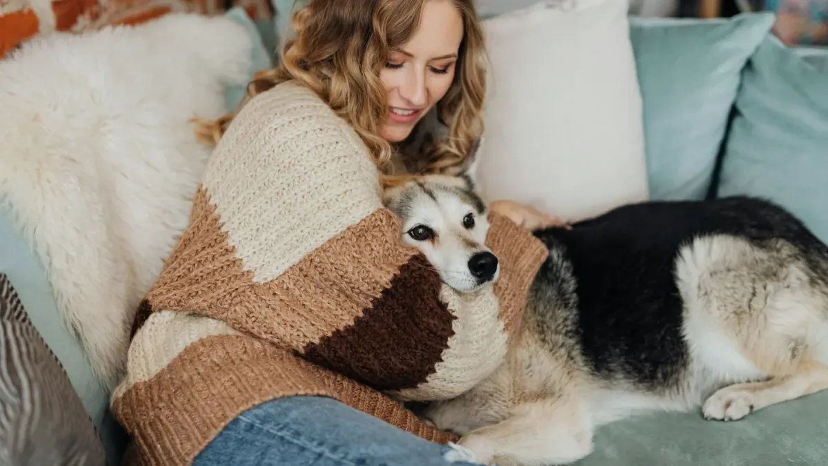 A dog lying low on a living room floor while an owner sits nearby during a storm