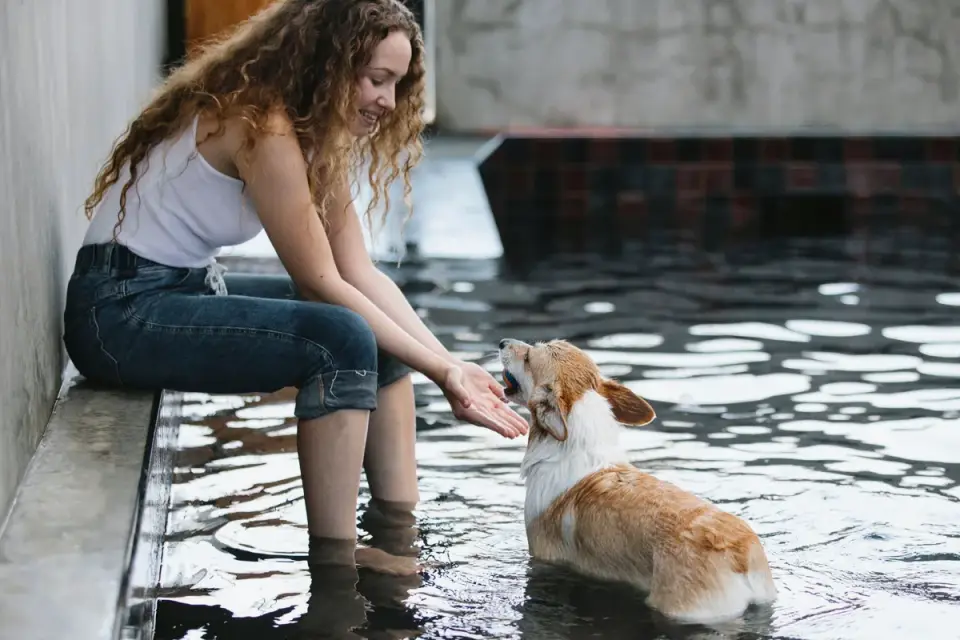 A dog owner offering a small bowl of water to a resting dog