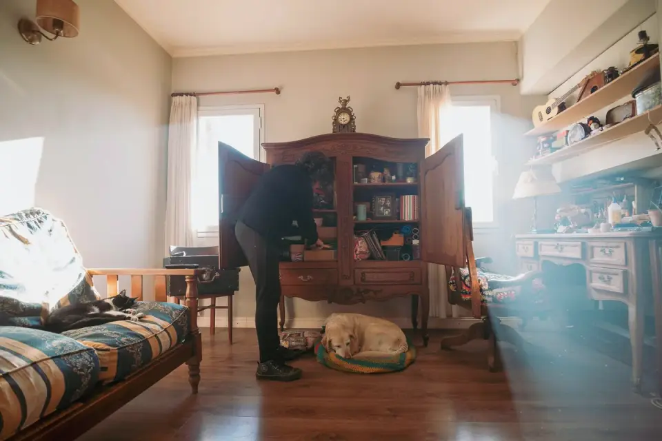 A dog pacing across a living room floor as evening light fades