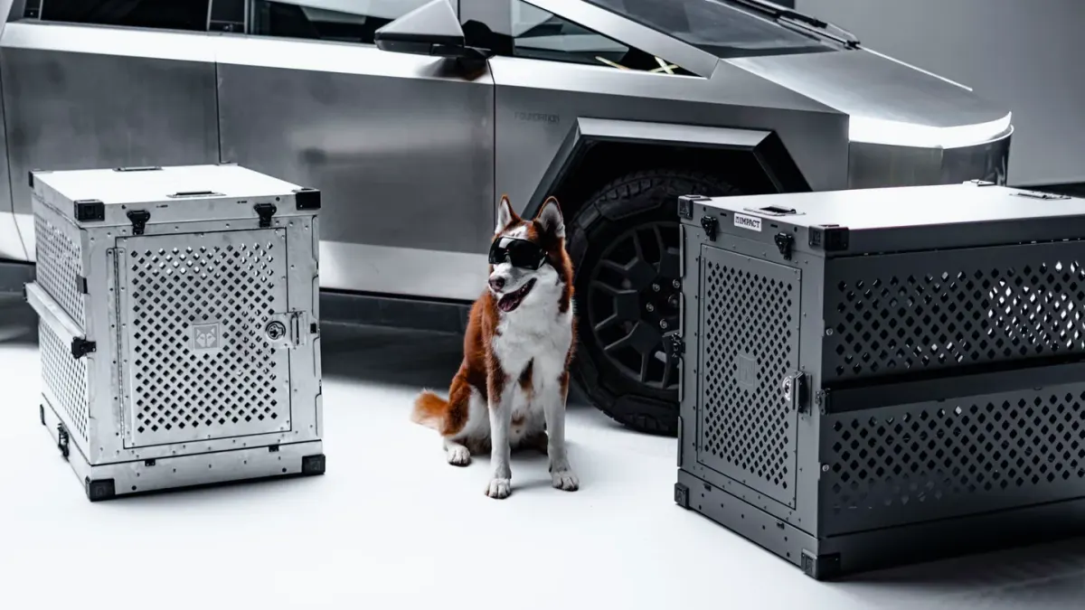 A dog resting in a car crate with an owner's hand nearby before a drive