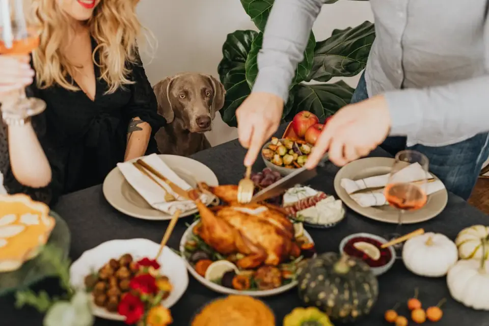 A dog sitting near a holiday table set with turkey and side dishes