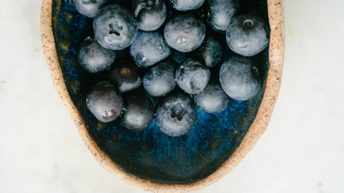 A dog sniffing a small bowl of fresh blueberries on a porch step