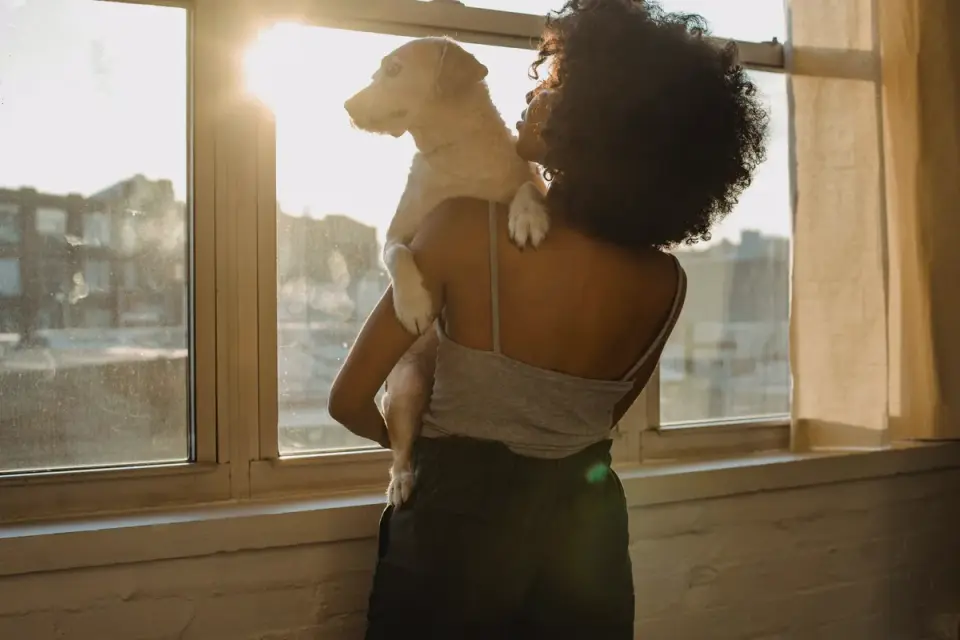 A dog watching through a window as its owner walks away from the house