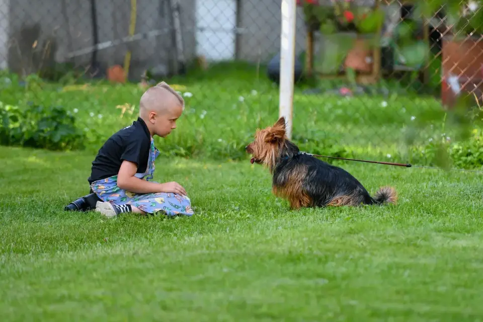 A family working through obedience training with a Rottweiler puppy in a backyard