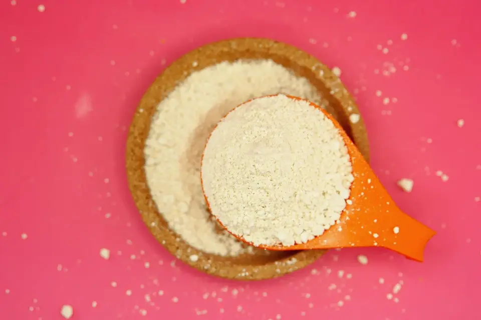 A scoop of collagen supplement powder beside a stainless steel dog bowl