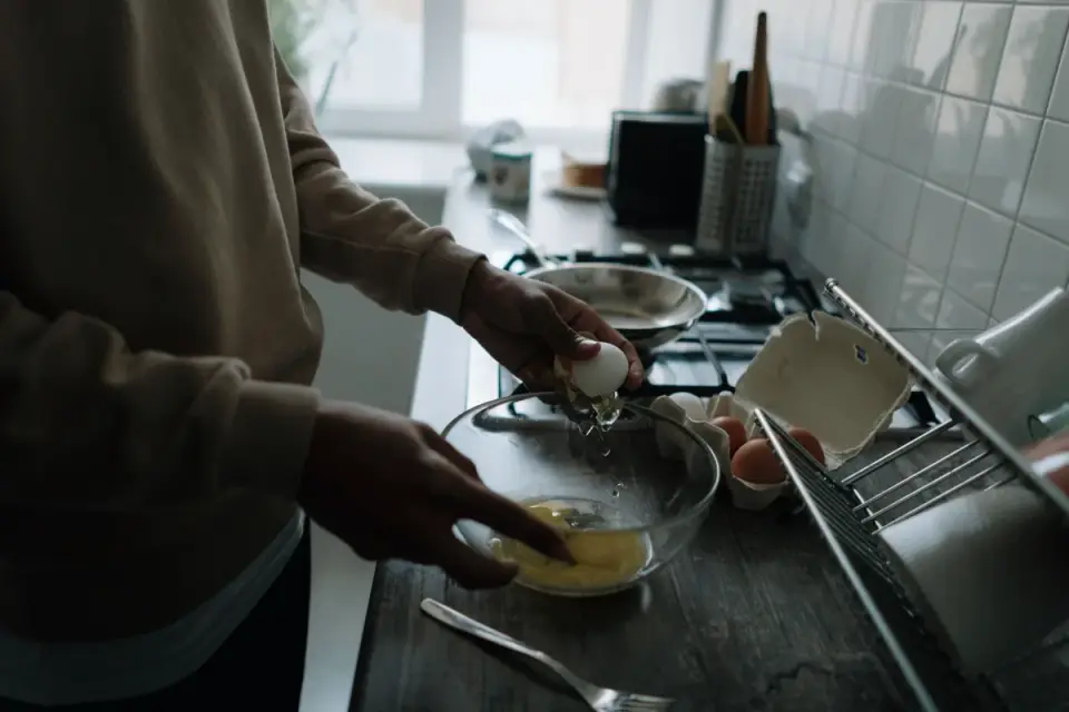 A small plate of plain scrambled eggs sitting next to a dog&#x27;s stainless steel food bowl on a kitchen counter