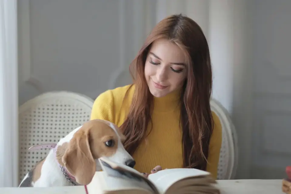 A veterinarian examining a dog supplement label at a clinic counter