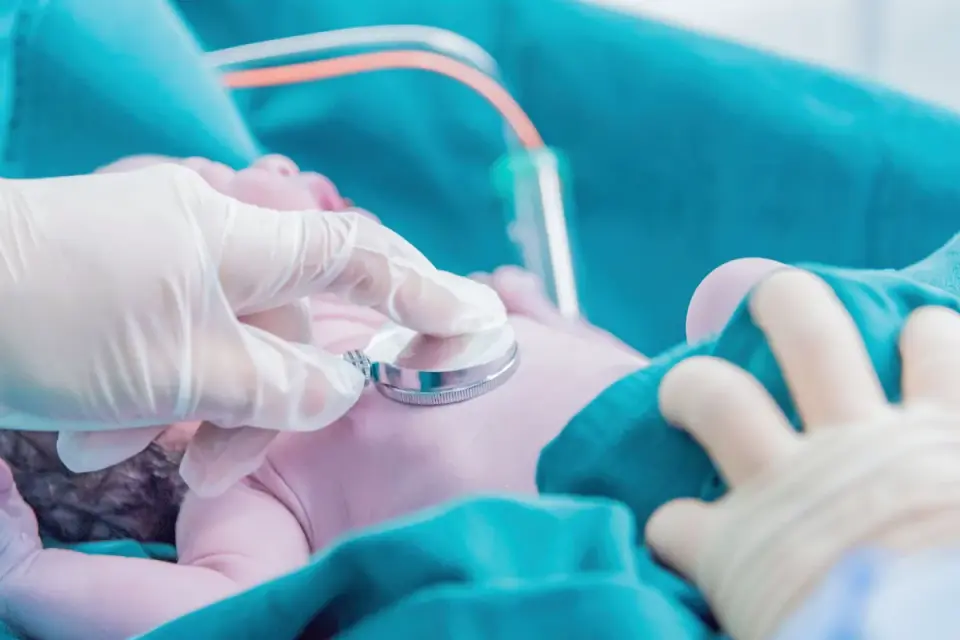 A veterinarian gently palpating a dog&#x27;s abdomen during an exam