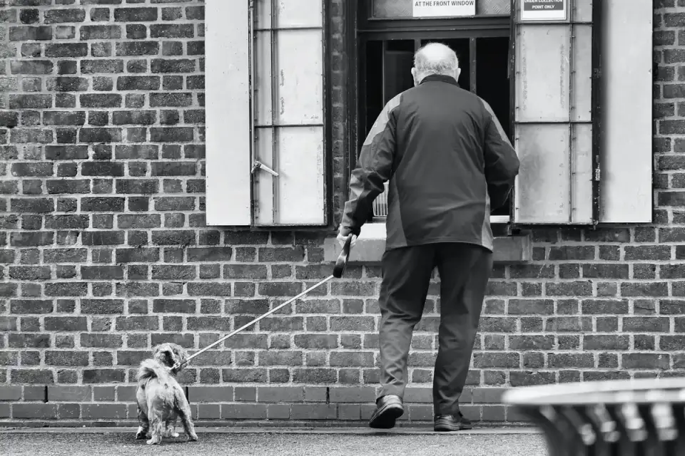 An older dog walking on a leash at a controlled pace beside its owner