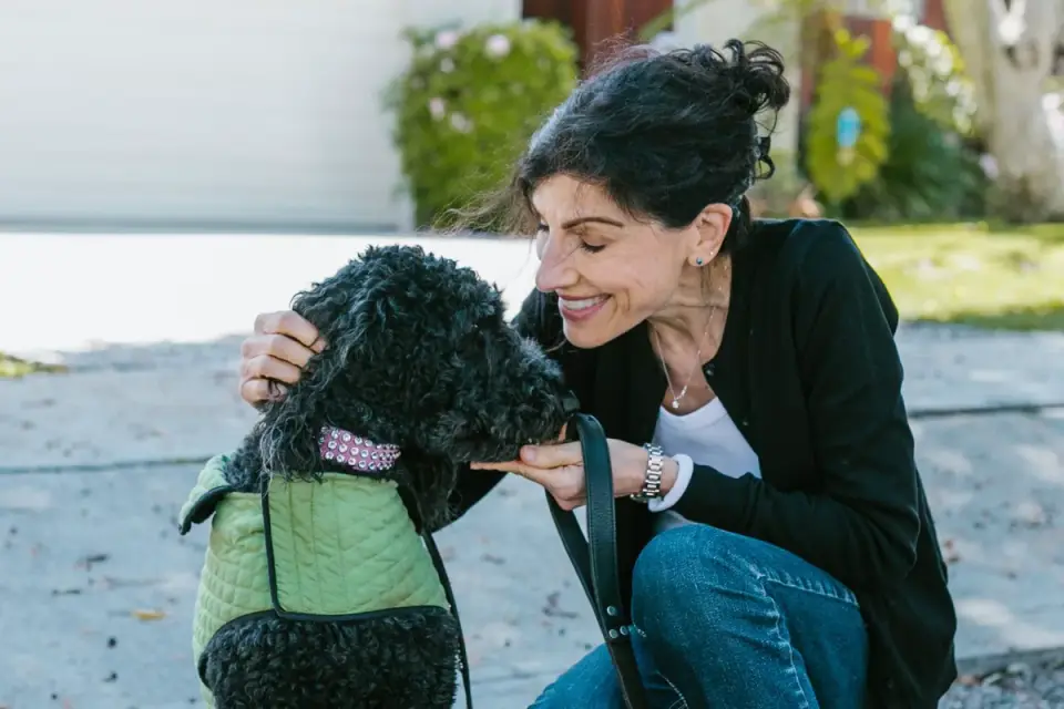 An owner handing a chewable supplement to a senior dog