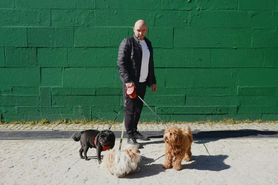 An owner walking two leashed dogs together along a residential sidewalk