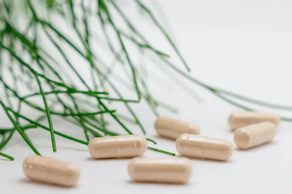 Close-up of a dog supplement bottle with an ingredient panel