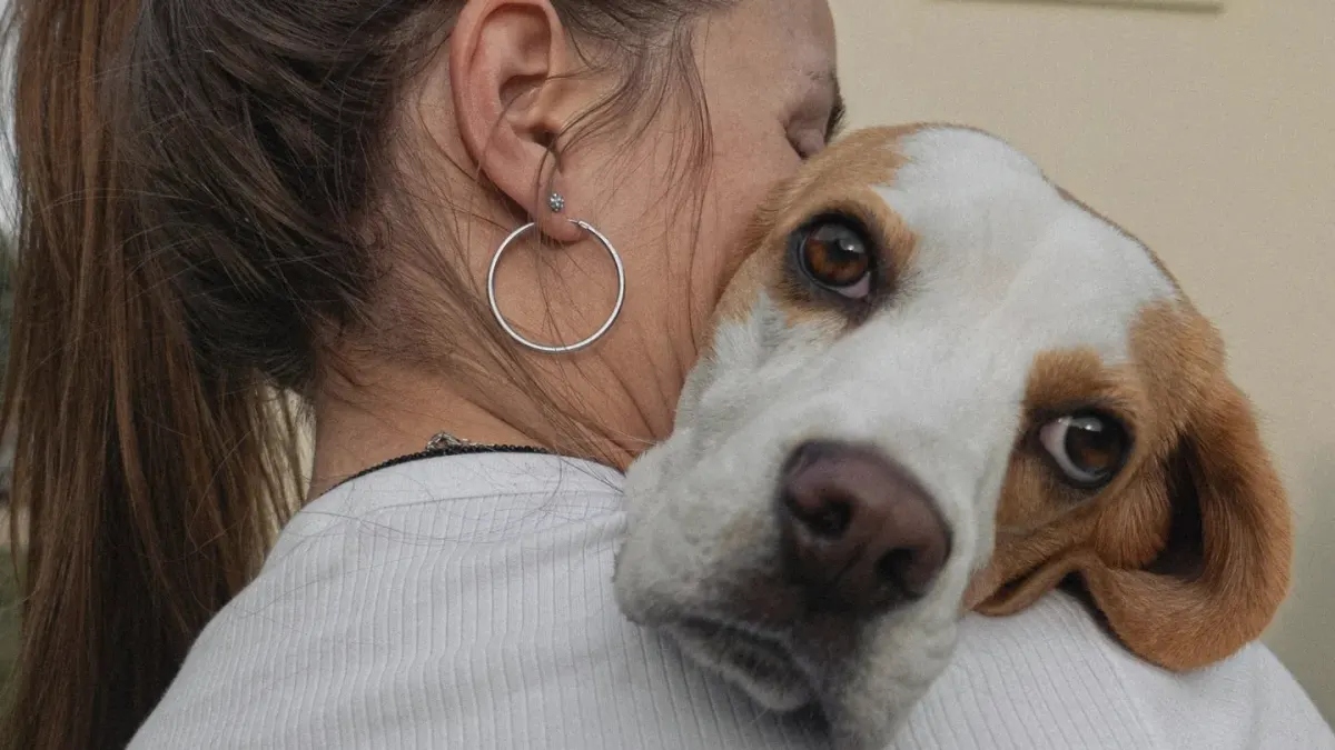 Dog and owner together