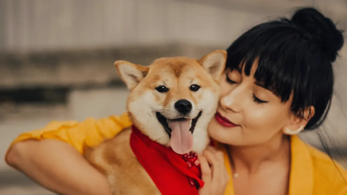 Dog and owner together