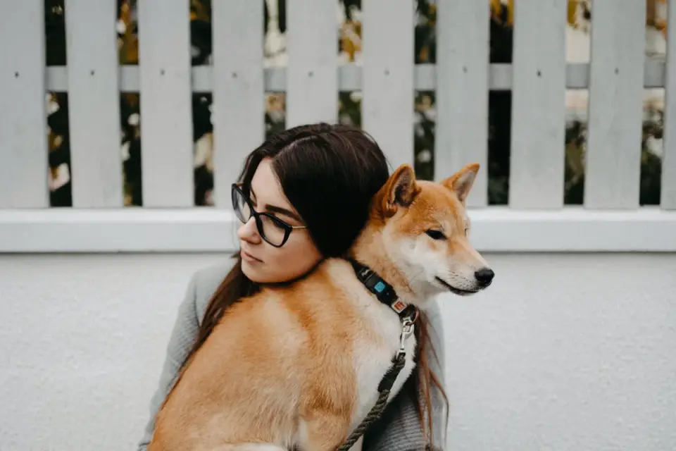 Dog and owner together