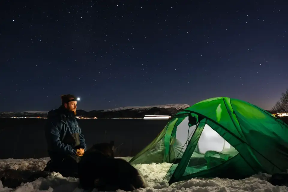 Dog camping with an owner