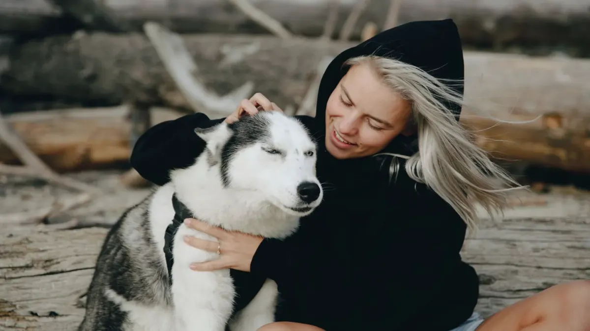Dog camping with an owner