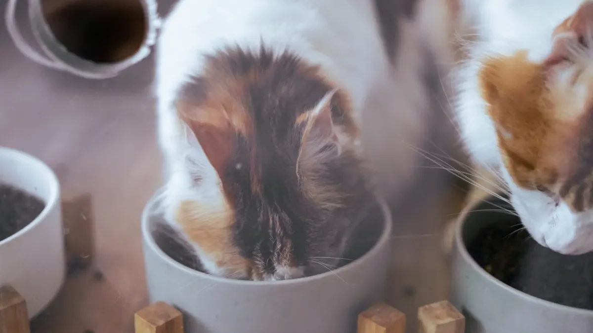 Dog eating from a bowl at home