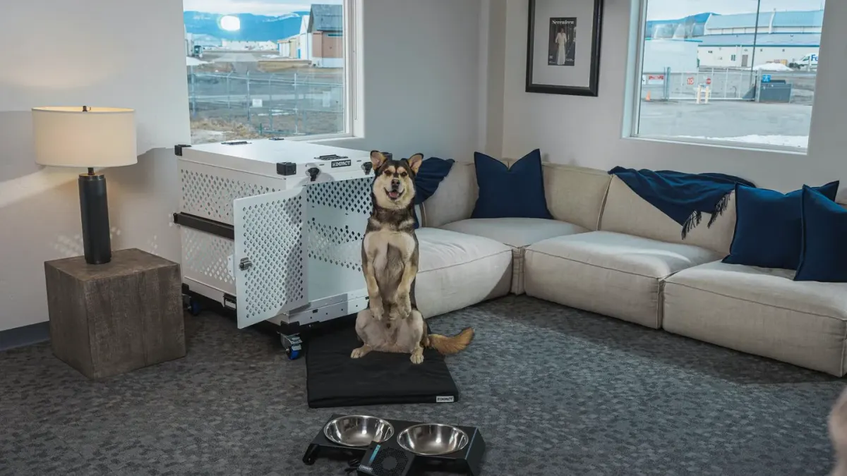 Dog eating from a bowl set on a raised-lip silicone mat in a kitchen