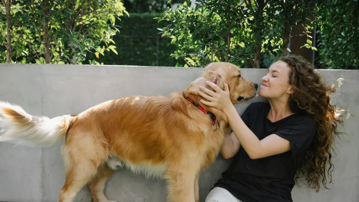 Dog greeting an owner