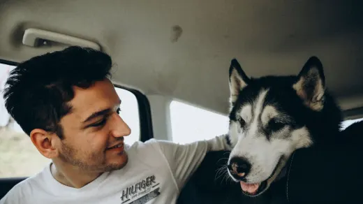 Dog in a car seat