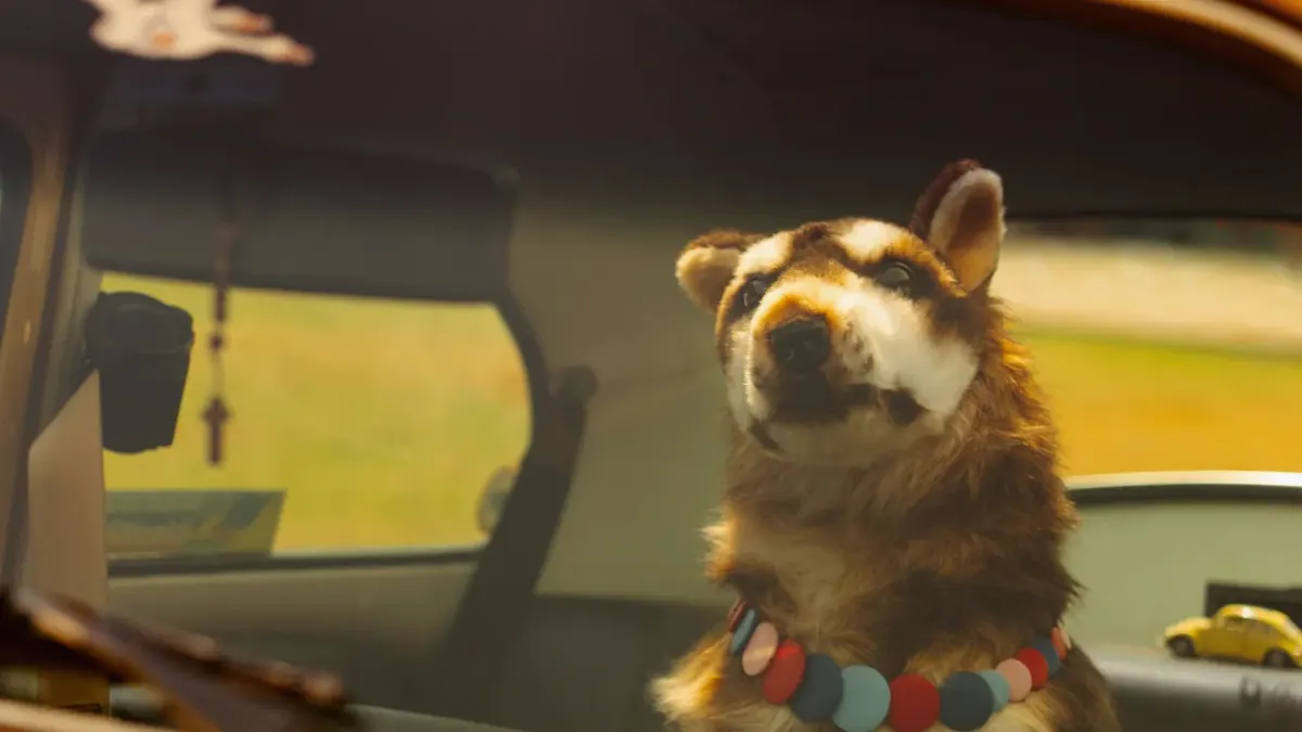 Dog in a car seat