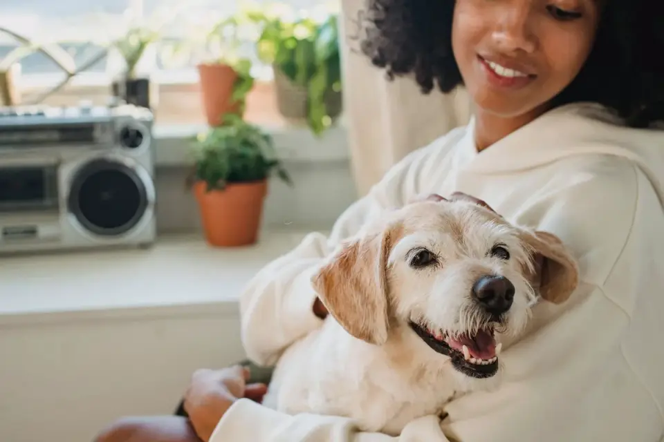 Dog in a kitchen with an owner