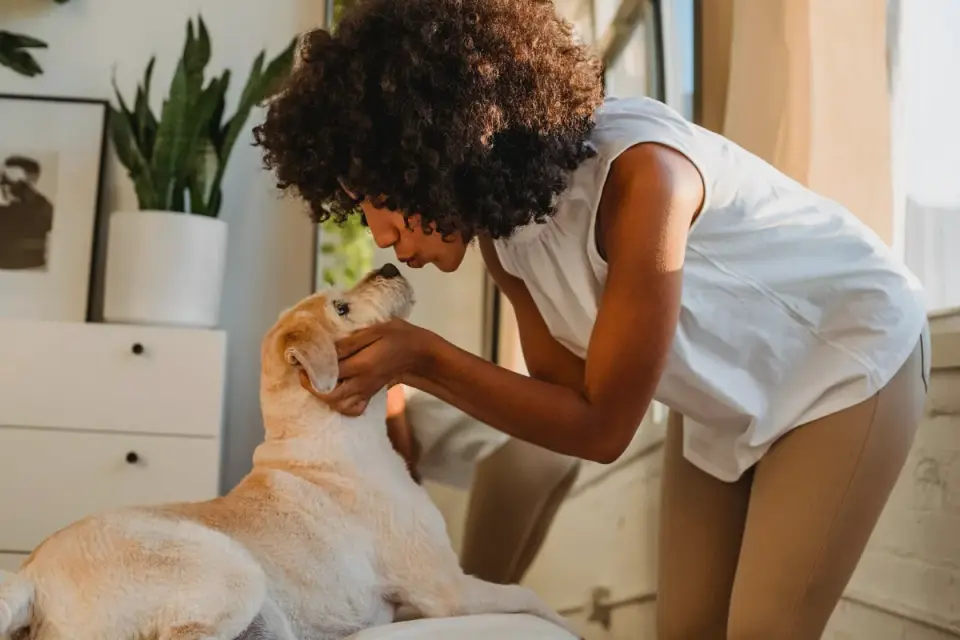 Dog in a kitchen with an owner