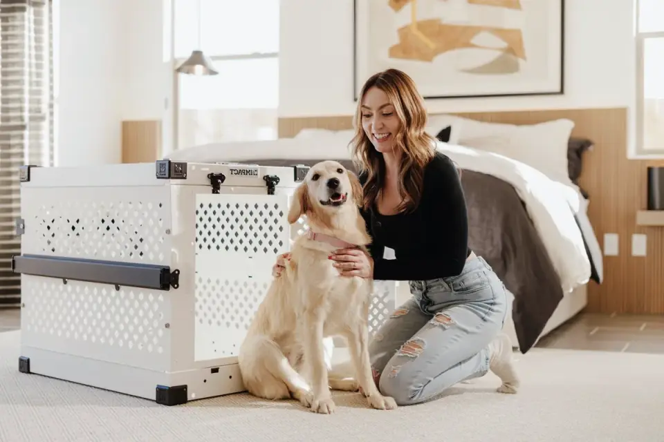 Dog in a travel crate
