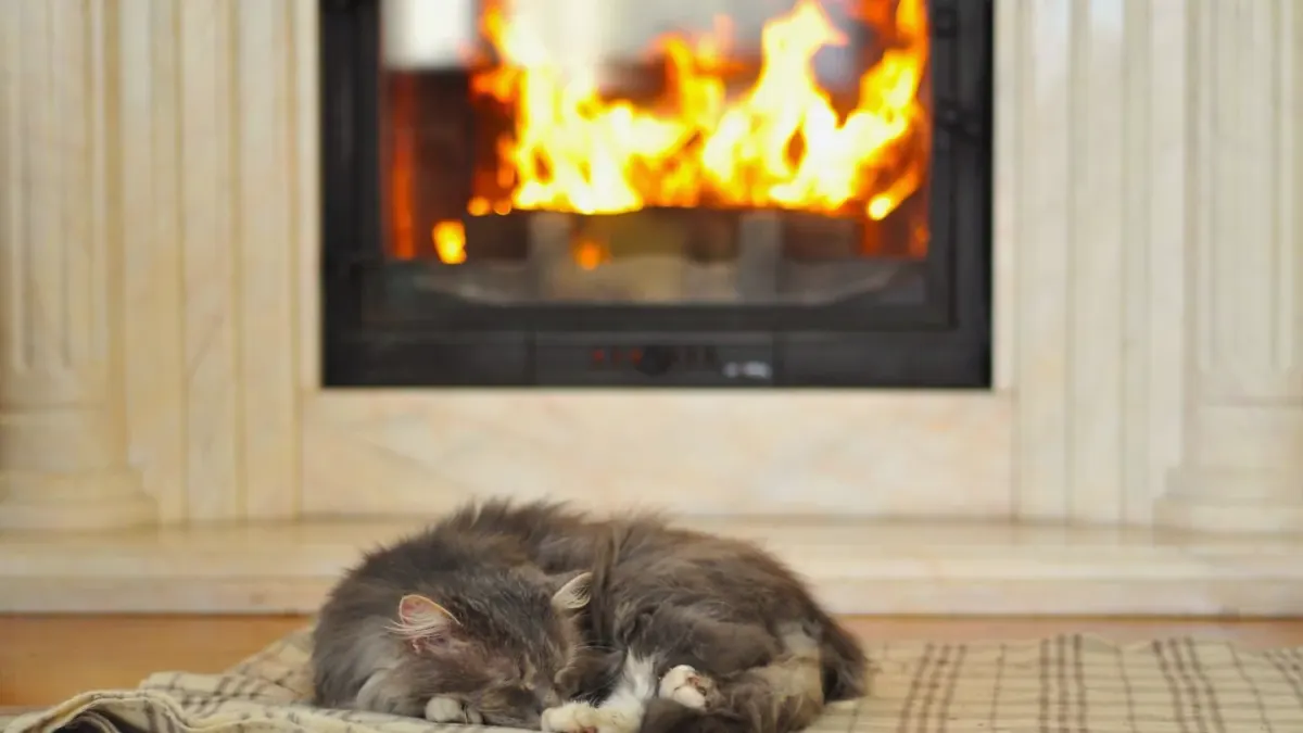 Dog near a fireplace