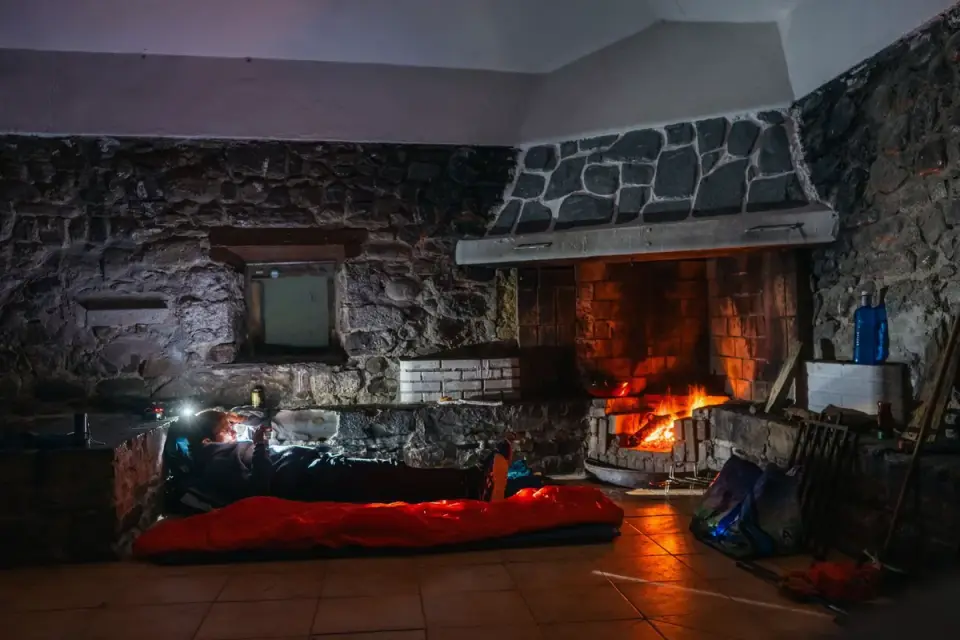 Dog near a fireplace