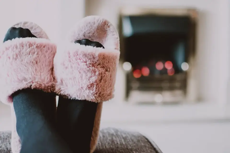 Dog near a fireplace