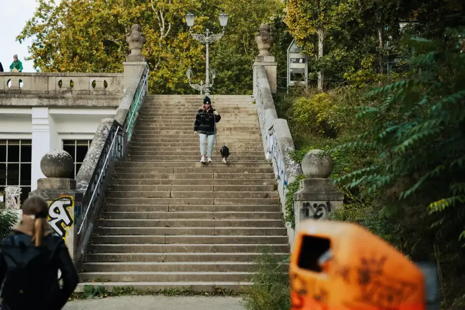 Dog on a ramp