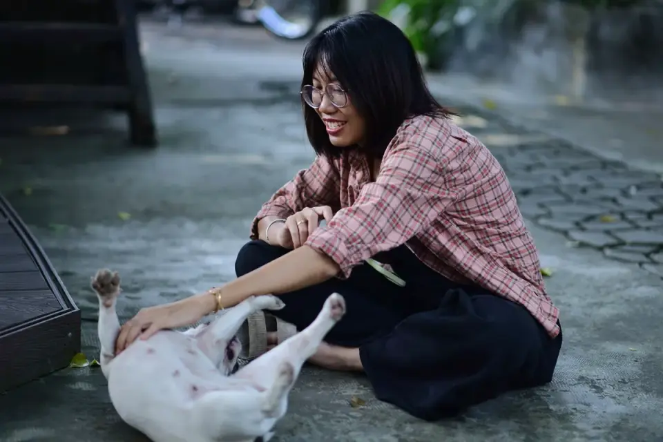 Dog owner preparing a meal