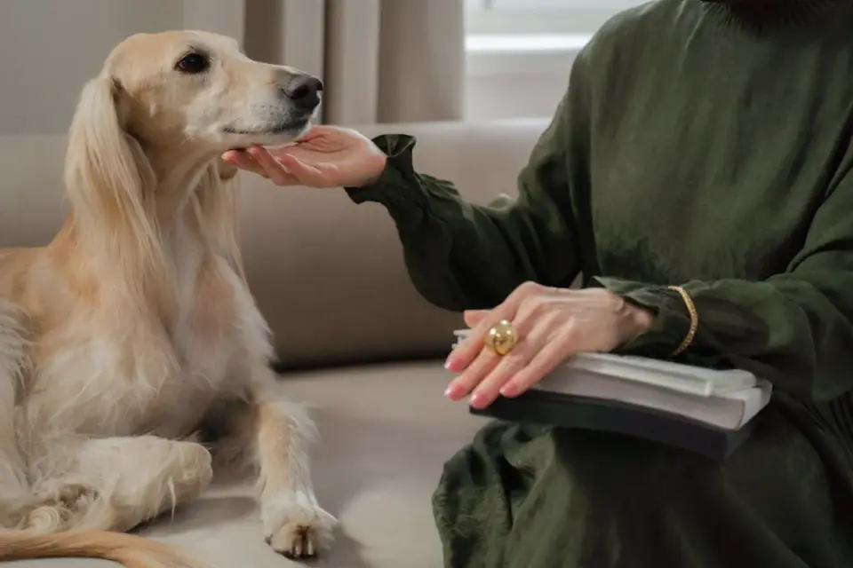 Dog owner reading a supplement label while their dog waits nearby