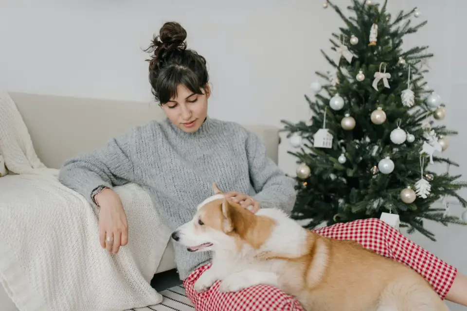 Dog resting beside an owner