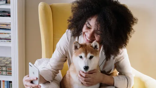 Dog resting beside an owner