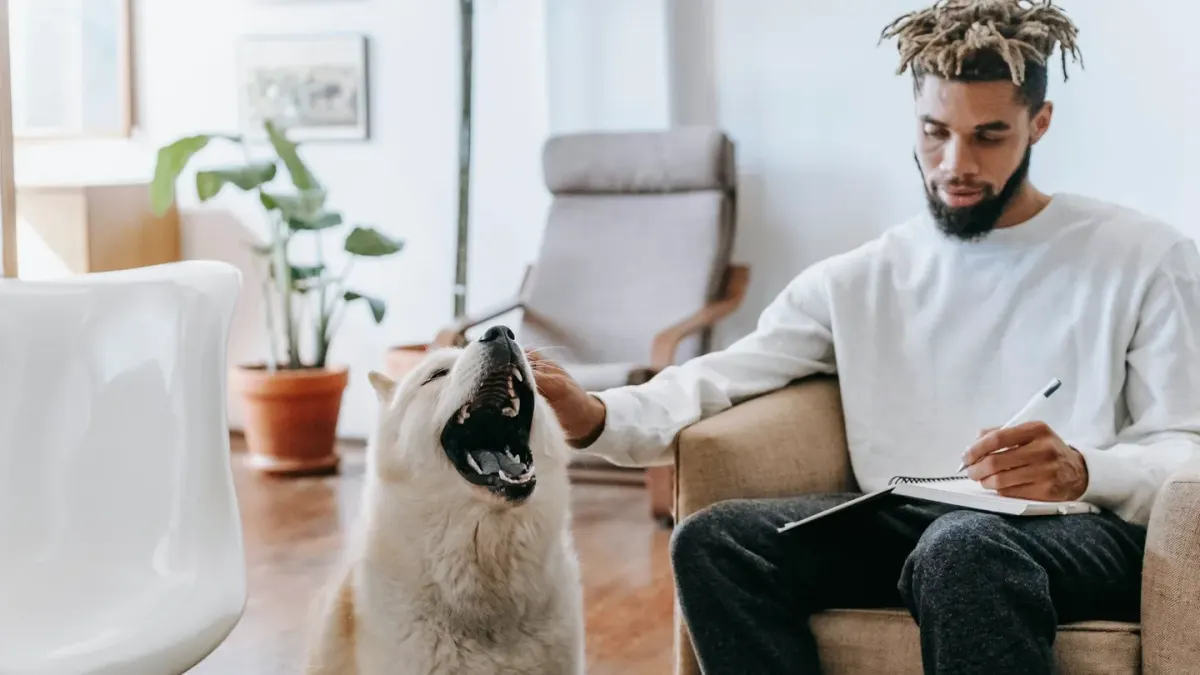 Dog resting beside an owner