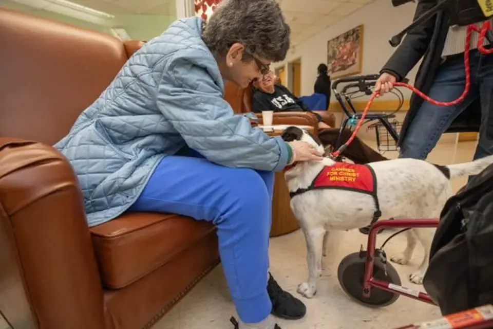 Dog resting beside an owner
