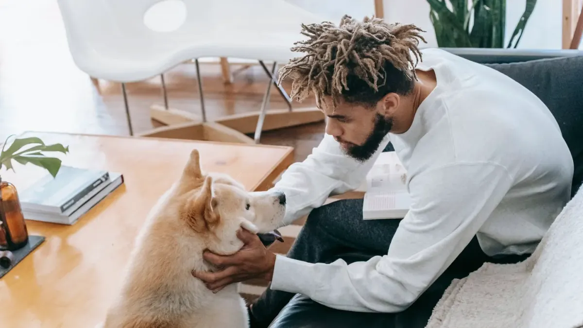 Dog resting beside an owner