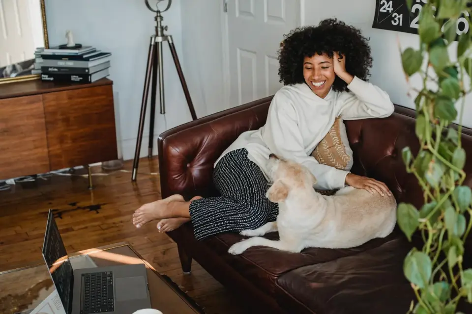 Dog resting beside an owner