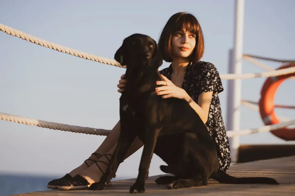 Dog sitting beside an owner