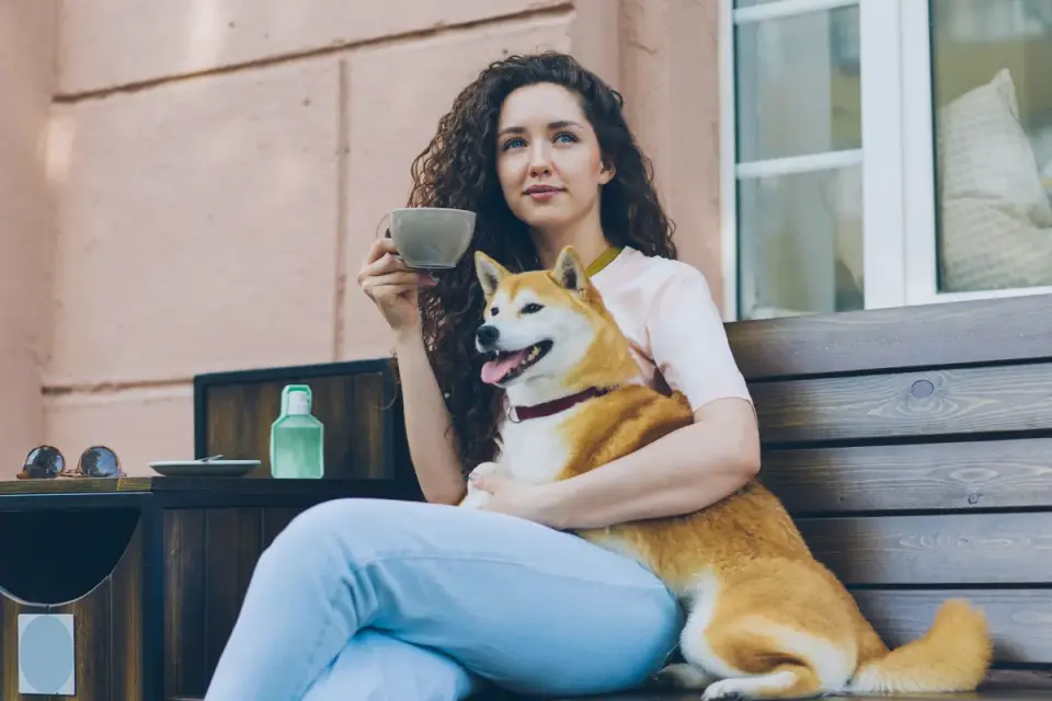 Dog sitting beside an owner