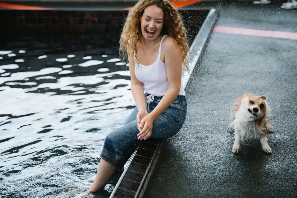 Dog swimming indoors