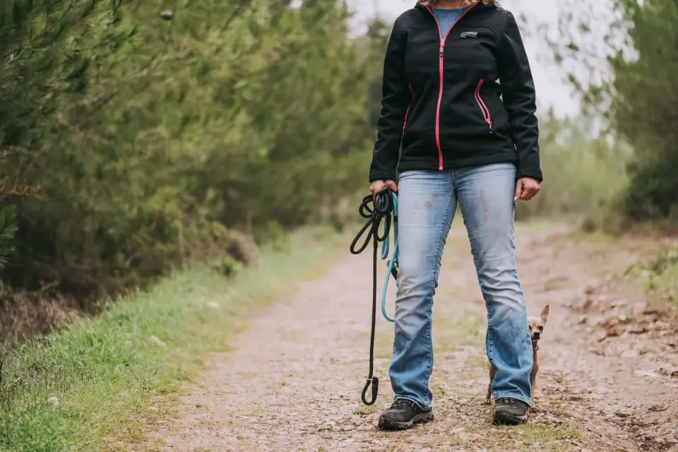 Dog walking with an owner