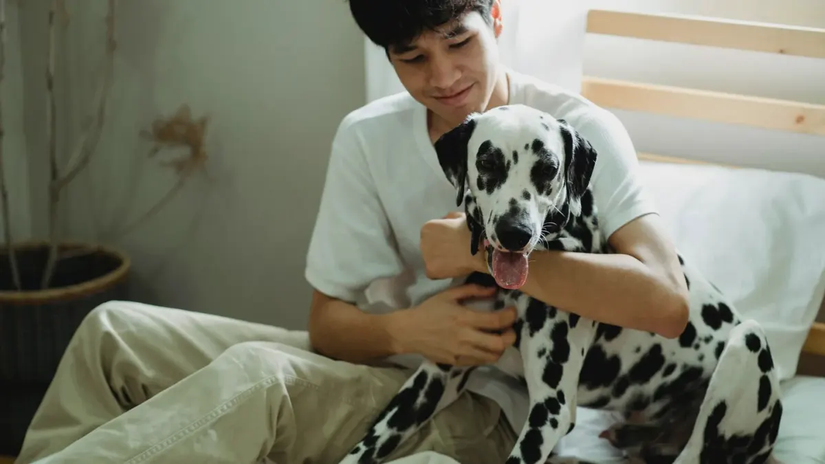 Dog walking with an owner