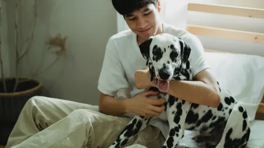 Dog walking with an owner