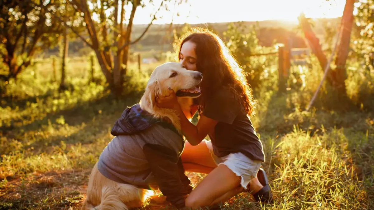 Dog with an owner at home